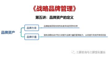 戰(zhàn)略品牌管理 構(gòu)建持久競爭優(yōu)勢(shì)的核心